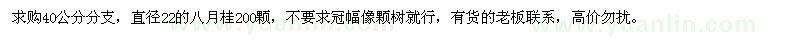 求購40公分分支，直徑22的八月桂200顆 