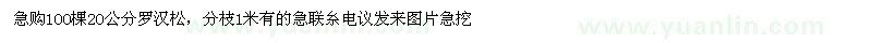 求購1OO棵2O公分羅漢松，分枝1米 