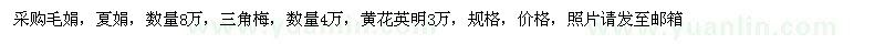 求購夏娟、毛娟、三角梅、黃花英明