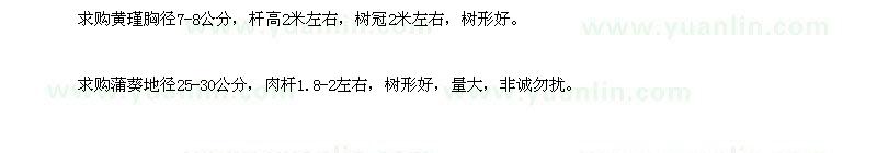 求購黃瑾胸徑7-8公分，蒲葵地徑25-30