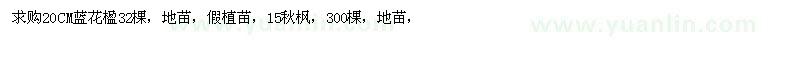 求購(gòu)藍(lán)花楹，秋楓