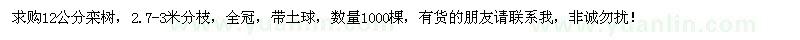 求購12公分欒樹1000棵