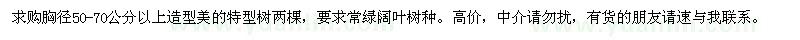 求購(gòu)造型美的特型樹