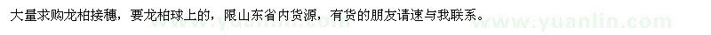 求購龍柏接穗