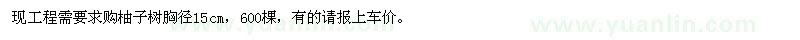求購柚子樹