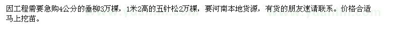 求購4公分的垂柳,高1米2五針?biāo)? />
                        <br />
                        <label style=