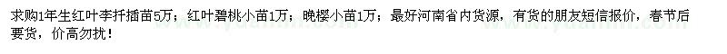 求購(gòu)紅葉李、紅葉碧桃、晚櫻小苗