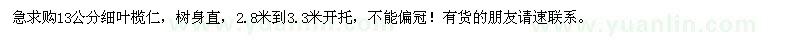 求購13公分細(xì)葉欖仁