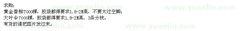 求購(gòu)黃金香柳,大葉傘