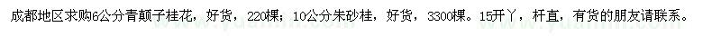 求購桂花,朱砂桂