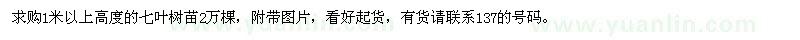 求購七葉樹苗2萬棵