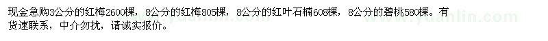 求購紅梅,紅葉石楠,碧桃