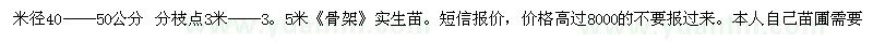 求購(gòu)廣玉蘭胸徑40-50公分
