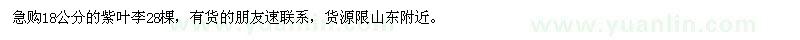 求購18公分的紫葉李