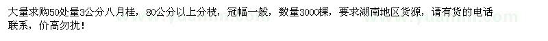 求購(gòu)3公分八月桂3000棵