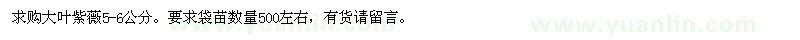 求購(gòu)大葉紫薇5-6公分