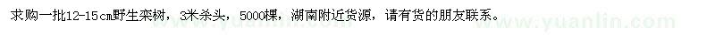 求購12-15公分野生欒樹