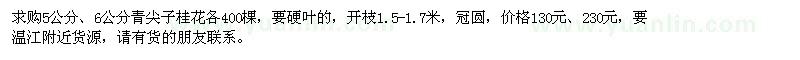 求購5公分、6公分青尖子桂花各400棵