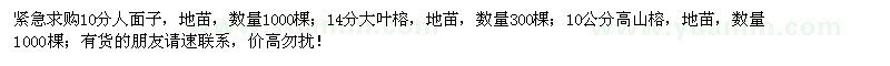 求購人面子、大葉榕、高山榕