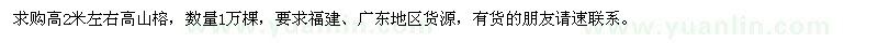 求購高2米左右高山榕1萬棵
