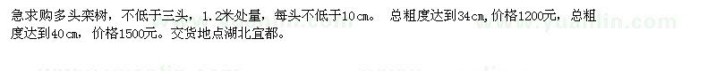 求購多頭欒樹