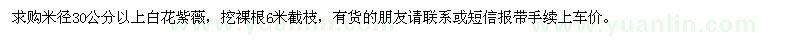 求購米徑30公分以上白花紫薇