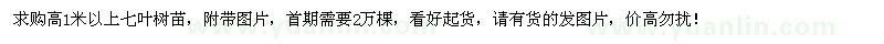 求購高1米以上七葉樹苗2萬棵