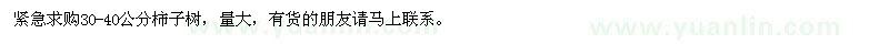 求購(gòu)30-40公分柿子樹