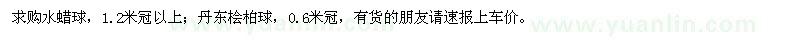 求購(gòu)水蠟球、丹東檜柏球