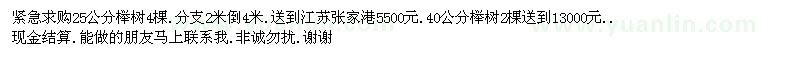求購25公分、40公分櫸樹