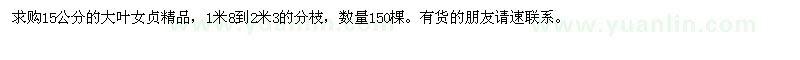 求購(gòu)15公分的大葉女貞