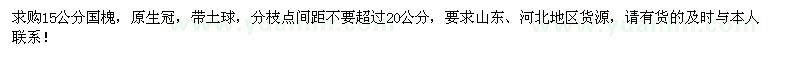 求購大量15公分國槐