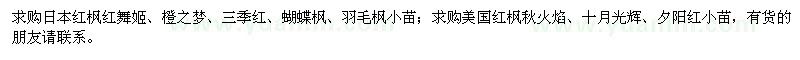 求購日本紅楓,美國紅楓小苗