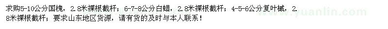求購白蠟、國槐、復(fù)葉槭