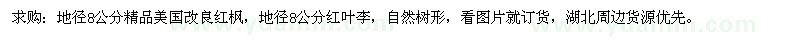 求購地徑8公分精品美國改良紅楓 
