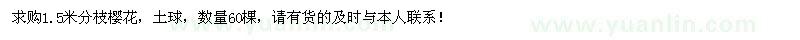 求購1.5米分枝櫻花60棵