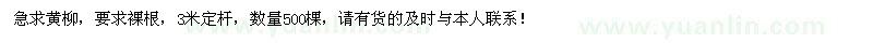 求購黃柳
