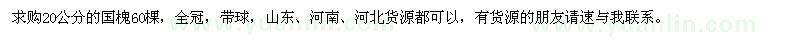 求購20公分的國(guó)槐