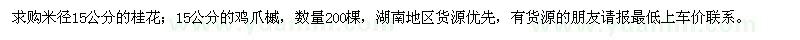 求購米徑15公分的桂花,雞爪槭