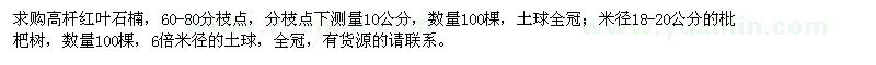 求購高桿紅葉石楠,米徑18-20公分的枇杷樹