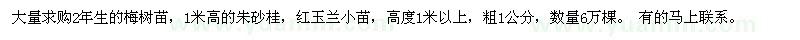 求購(gòu)2年生的梅樹(shù)苗,1米高的朱砂桂,紅玉蘭