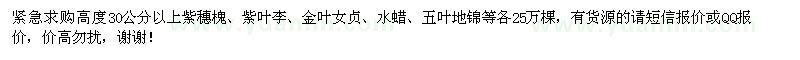 求購紫穗槐、紫葉李、金葉女貞等苗木