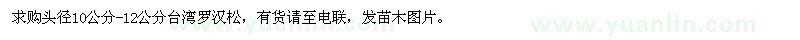 求購10公分-12公分臺灣羅漢松