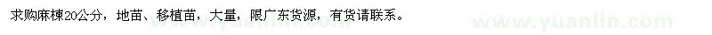 求購(gòu)20公分麻楝