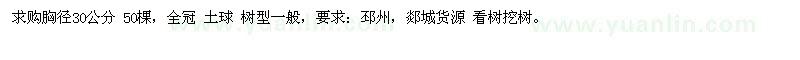 求購30公分 銀杏樹