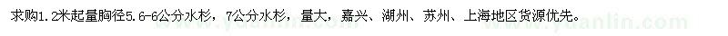 求購胸徑5.6-6公分水杉，7公分水杉
