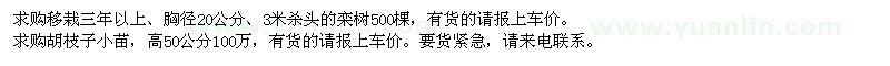 求購胸徑20公分欒樹,胡枝子小苗