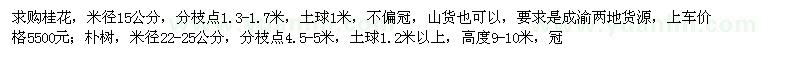 求購(gòu)米徑15公分桂花,米徑22-25公分樸樹(shù)
