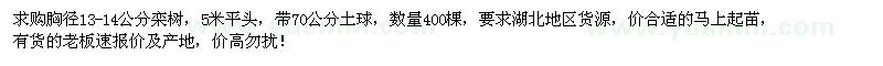 求購胸徑13-14公分欒樹400棵