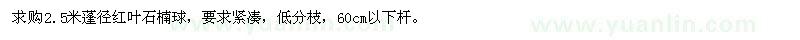 求購蓬徑2.5米紅葉石楠球